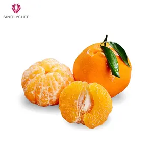 Atacado Top Quality Fresh Mandarin China Origem Tangerina Doce Frutas Citrinas