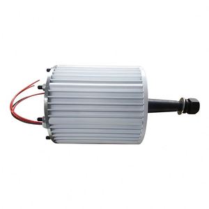 Generador de Imán Permanente de CA Trifásico de 1000 W de Alta Calidad, Salida de Potencia Completa, <span class=keywords><strong>Alternador</strong></span> de Imán Permanente de <span class=keywords><strong>Neodimio</strong></span> de 220 V - Product Image 3