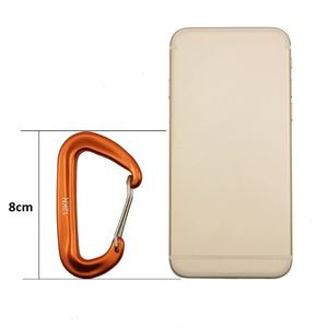 Free Sample Outdoors Climbing Mini Multi-function Buckle D-ring Small Shape <b>Hook</b> 12KN <b>Hook</b> <b>Clips</b> Aluminum Custom Carabiner - Product Image 2