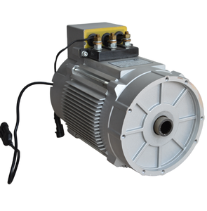 Motor de CA trifásico de 48V 3KW para trabajo de carrito de golf eléctrico para carrito de golf Lvtong - Product Image 4