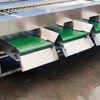 YOUBAN Fabrieks Prijs RVS Gewichtssorteermachine Automatische Fruitgewichtsgrader voor de Landbouwsector