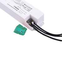 Controlador de emergencia de luz de panel LED con batería LiFePO4-3W/5W/8W, respaldo de 90min-3h, convertidor de emergencia certificado CB/CE/SAA
