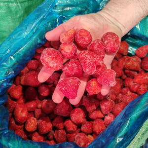 <span class=keywords><strong>สต</strong></span>รอว์เบอร์รีสดปรุงรส XMSD 10 กก. แช่แข็งแบบ IQF คุณภาพเยี่ยม จำหน่ายส่งสำหรับผู้ค้าส่ง - Product Image 2