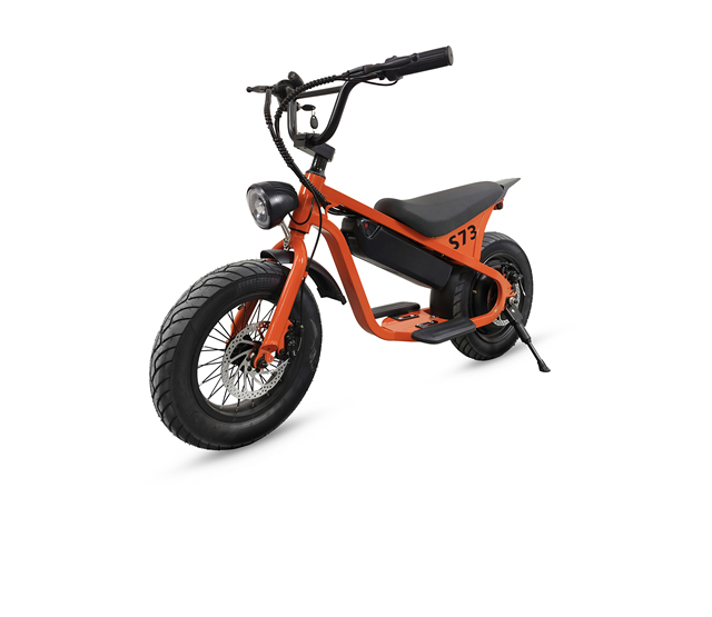 GreenPedel 14" Kids Electric Bike 250W 24V 10.4Ah Fat Tire Mechanical Brake Safe E-Scooter for Children Without Training Wheels