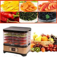 Appareils ménagers en acier inoxydable électrique séchoir à fruits déshydrateur pour viande fruits cuisine Mini déshydrateur alimentaire Machine