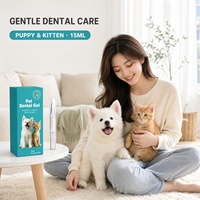 Gel dentaire OEM ODM pour chiens et chats, seringue applicatrice 15 ml, gel nettoyant pour dents de chiots et chatons, soin buccal pour animaux de compagnie