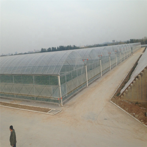 PE film de <span class=keywords><strong>serre</strong></span> en plastique de <span class=keywords><strong>tunnel</strong></span> de <span class=keywords><strong>serre</strong></span> d'agriculture de film utilisé des cadres de <span class=keywords><strong>serre</strong></span> à vendre - Product Image 2