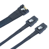 Câble SFF-8654 8i vers double SFF-8087 24 Gbit/s SlimSAS 74 broches Fan-out PCIe 4.0 SAS 4.0 pour serveur RAID 0.5M