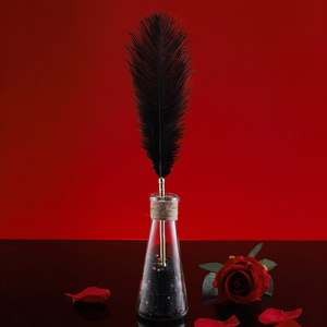 Plumas de Sevanda Meng <span class=keywords><strong>Ling</strong></span>. - Product Image 5