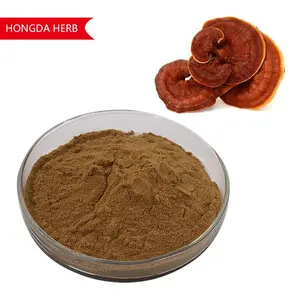 HONGDA 30% 50% 다당류 레이시 버섯 분말 추출물 Ganoderma Lucidum 추출물 분말