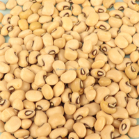 Nihewan Haricots secs aux yeux noirs Petit prix du haricot de niébé blanc Haricots aux yeux noirs
