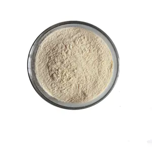 Factory Supply Wild Raw Material Atlantic Ocean Sea Cucumber Extract Powder