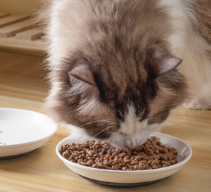 Wholesale Custom Ceramic Pet Bowl with Non-slip Silicone Base, Cute <b>Cat</b> Print Anti-spill <b>Cat</b> <b>Feeder</b> Bowl - Product Image 6