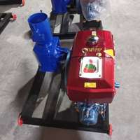 Machine Automatique de Fabrication de Granulés d'Aliments pour Bétail à Moteur Essence