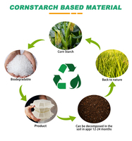 Boîte Alimentaire Écologique Jetable Compostable pour Repas à Emporter, en Amidon de Maïs, Type Clamshell
