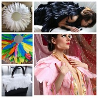 Plumes décoratives haut de gamme pour accessoires et décors photographiques, arrière-plans de diffusion en direct et décoration pour portraits