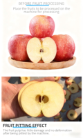 Appel Schil- en Ontpitmachine, Appelontpitter, Industriële Pitverwijderaar, Ontpitmachine