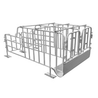 Nouvelles cages de gestation pour truies, équipement d'élevage porcin, cages à porcs galvanisées à chaud