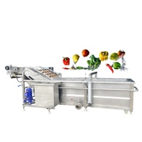QD Industriële Bubbelwasmachine RVS Fruit- en Groentewasmachine voor Voedselverwerkingslijn