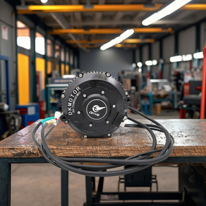 มอเตอร์ขับเคลื่อนกลางแบบไร้แปรงถ่าน DKYS DK168 40H 72V 5000RPM ป้องกันการระเบิด IP65 โครงอะลูมิเนียมแม่เหล็ก สำหรับ DK168 40H 6000W-Z แรงบิดสูง - Product Image 3