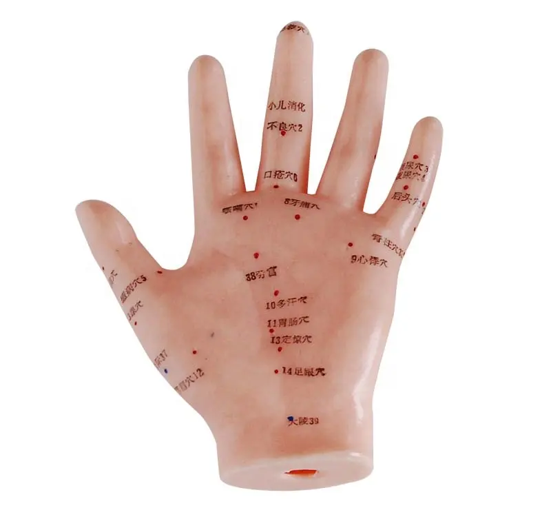 Chinesisches medizinisches Akupunktur modell, Simulations akupunktur hand