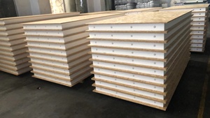 Panel SIP <span class=keywords><strong>OSB</strong></span> con Panel Sándwich EPS/XPS/PU para Aislamiento Térmico de Paredes y Techos de Villas - Product Image 5