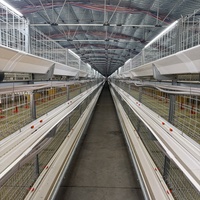 Système d'alimentation automatique moderne pour les cages d'élevage de poulets à batterie à 3/4/5 niveaux à vendre
