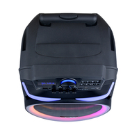 CSN-801 Haut-parleur portable de 10 pouces en forme de corne avec éclairage latéral RGB et son de qualité – Modèle exclusif