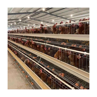 Équipement d'élevage avicole, cages à poules, performance optimale