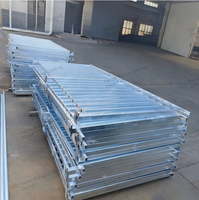Rampe d'escalier industrielle extérieure en acier galvanisé pour plateforme