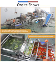 Wasmachine voor verse groenten en fruit, 1-3T/H, eigen fabrieksontwerp en -productie voor verse snijgroenten en saladeplanten