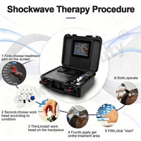 Appareil à ondes de choc électromagnétiques pour chevaux 200W, portable en valise, à pénétration profonde, avec plusieurs émetteurs, OEM ODM