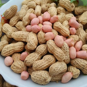 Prix d'usine Cacahuètes grillées 100% naturelles en coque, collation séchée de qualité supérieure, en vrac, prêtes à l'exportation depuis la Chine - Product Image 4