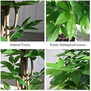 ต้น <span class=keywords><strong>Pachira</strong></span> ต้นมาโครคาร์ปา130/160/180/200ซม. ต้นไทรไม้แท้ต้น Ficus ประดิษฐ์สำหรับตกแต่งภายในบ้าน - Product Image 4
