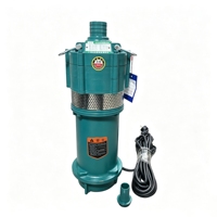 Pompe submersible multi-étages immergée dans l'huile, haute pression, grand débit, 220V, pour puits, en acier inoxydable, contrôle entièrement automatique