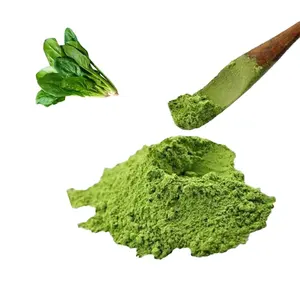 Extracto de teaplant verde orgánico de clase alta, té verde Matcha, extracto de planta en polvo, té verde Matcha en polvo, certificado orgánico