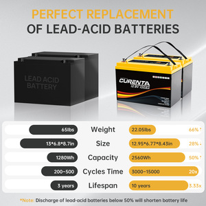 Batería Recargable LiFePO4, Paquete de Baterías de Iones de Litio, Almacenamiento de Energía, 12V, 24V, 36V, 48V, 100Ah, 200Ah, 300Ah - Product Image 3