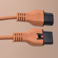 Cordon d'alimentation standard à deux broches, deux conducteurs, prise européenne ronde avec fil de connexion SR plaqué étain
