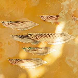 Peinture de neuf poissons en laiton sculpté, style chinois moderne, pour entrée, salon, couloir, <span class=keywords><strong>art</strong></span> mural pour déménagement dans une nouvelle maison - Product Image 4