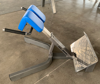 Commander B1044 Mini Loader Steel Chest Arms Back Extension Équipement d'entraînement commercial pour musculation en intérieur 80kg
