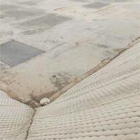 Géofabriforme en polyester tissé pour la protection des pentes, géotextiles plastiques, grille à gazon, tissu rempli de béton, marque NETE, NETE-A2 blanc