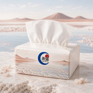 Pañuelos Faciales Decorativos Suaves de 3 Capas con Diseño de Paisaje Volcánico del <span class=keywords><strong>Lago</strong></span> <span class=keywords><strong>Assal</strong></span> de Djibouti, en Caja - Product Image 1