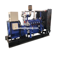 Générateur électrique au biogaz de 30 kW, 40 kW, 50 kW, 60 kW, 100 kW, 200 kW, 250 kW, 300 kW, 500 kW à vendre avec système de purification