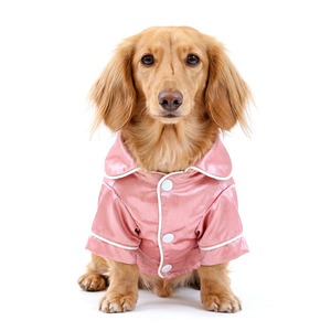Family <b>Dog</b> Vest Luxury Polyester Summer Wear for <b>Dogs</b> and Owners XS Size - Product Image 6