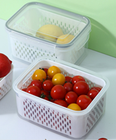 Plateaux de drainage en plastique de qualité alimentaire pour fruits et légumes, boîtes de rangement scellées pour réfrigérateur - Vente en gros