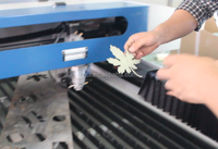 Machine à graver au Laser, fonctionne sur verre, pierre, bois et cristal, impression de t-shirts, offre spéciale