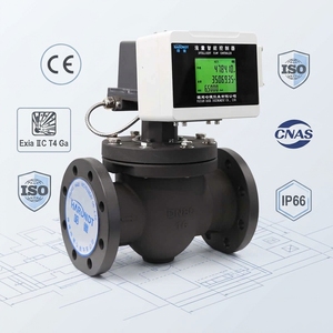วาล์วควบคุมการไหลแบบสมาร์ท IoT พร้อม RS485 Modbus ตัวเรือนอะลูมิเนียม ความแม่นยำ +/-1% สำหรับการตรวจสอบก๊าซแบบเรียลไทม์และการจัดการระยะไกลแบบ OEM - Product Image 3