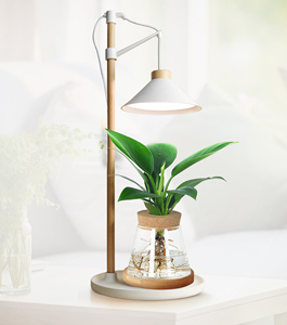 J & C Led Bàn Phát Triển Ánh Sáng Quang Phổ Đầy Đủ Nhà Máy Phát Triển Chiều Cao Đèn Có Thể Điều Chỉnh Có Thể Tháo Rời Với Bộ Đếm Thời Gian - Product Image 1