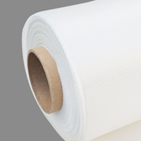 Tissu de planche de surf en fibre de verre E uni tissé 4oz 6oz