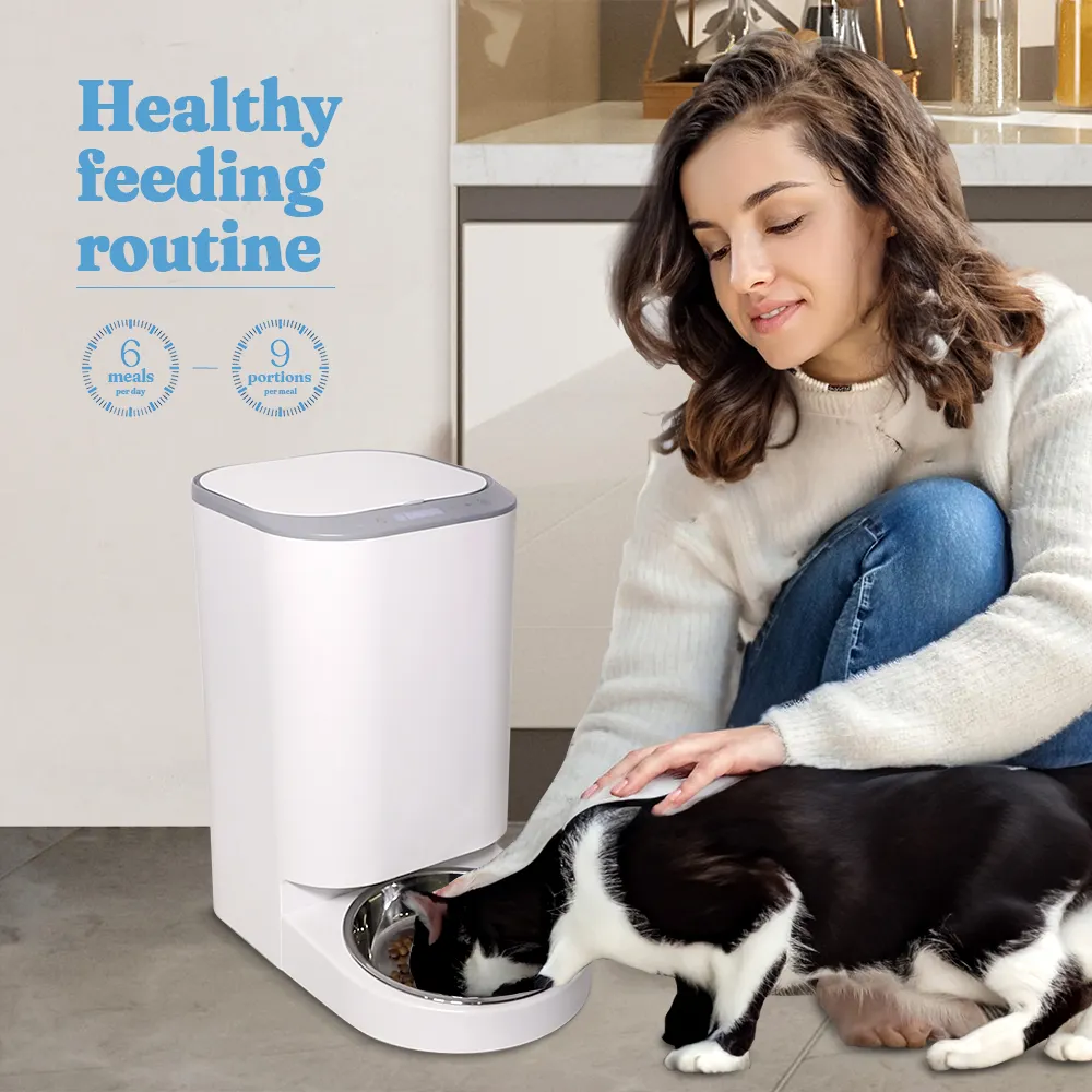 Mangeoire pour animaux de compagnie 2.5L capacité Smart Cat Dog distributeur de nourriture chien chat nourriture bol d'eau Wifi stockage des aliments roman produits pour animaux de compagnie Tigela Inox